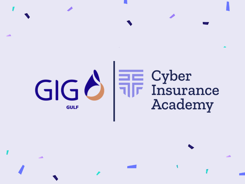 cyber insurance in the middle east and africa