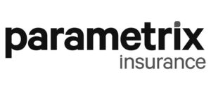 Parametrix