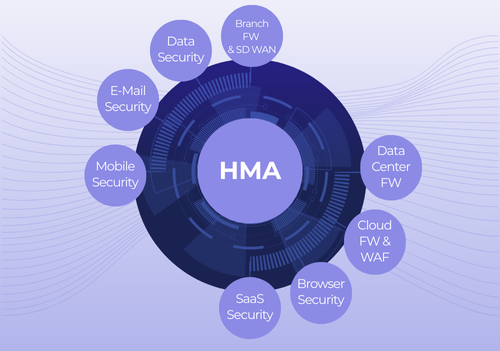 The Impact of Hybrid Mesh Architecture on Cyber Hygiene with Keely Wilkins